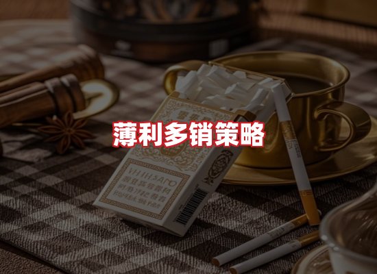 专业团队
